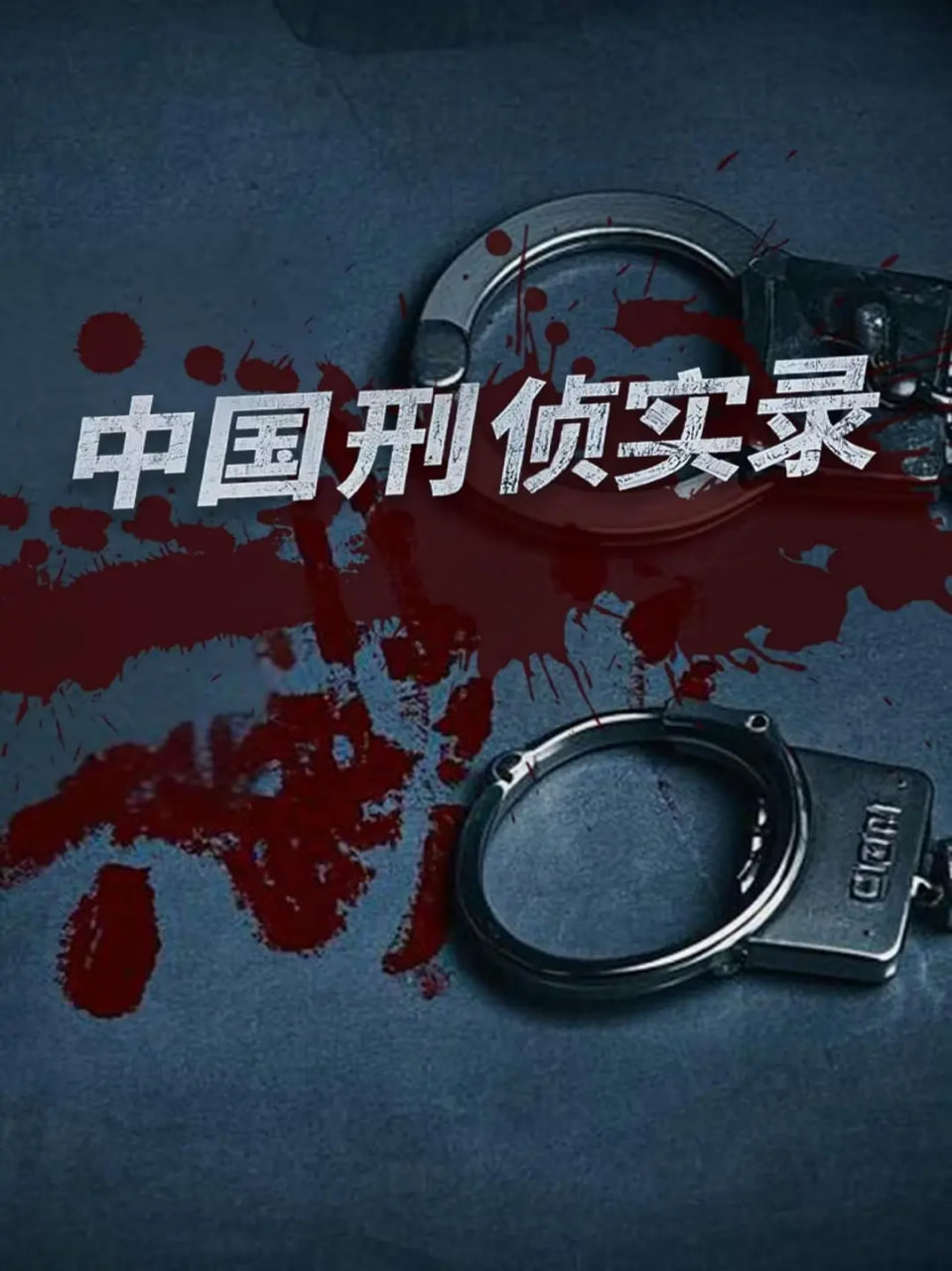 中國刑偵實錄第一季(2024)海報