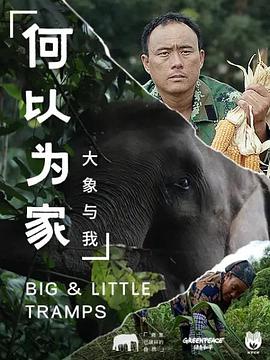 何以为家大象与我(2020)海报