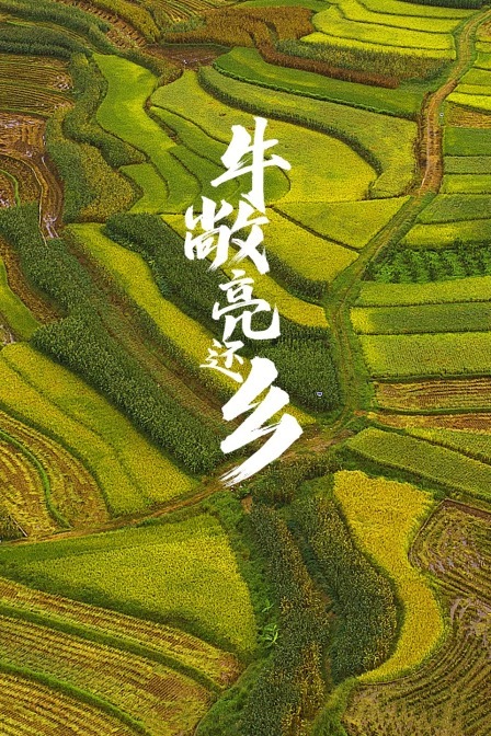 牛敞亮還鄉(2010)海報