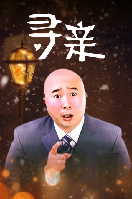寻亲(2009)海报