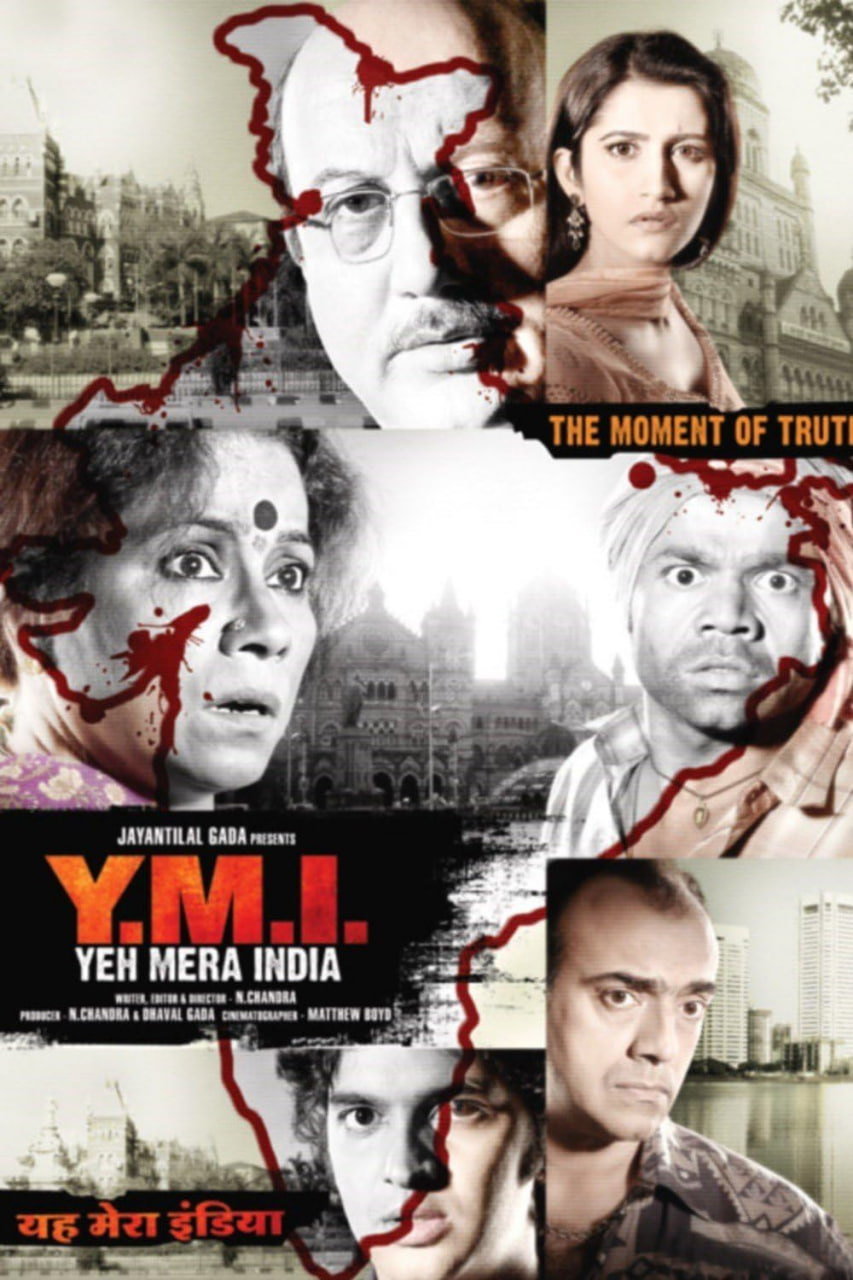 Y.M.I.这就是我的印度(2008)海报