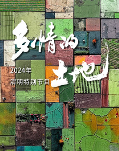 2024多情的土地(2024)海報