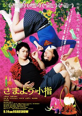 情人订制指南(2014)海报