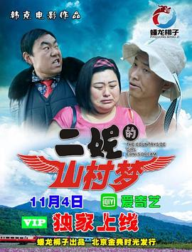 二妮的山村梦2017(2017)海报