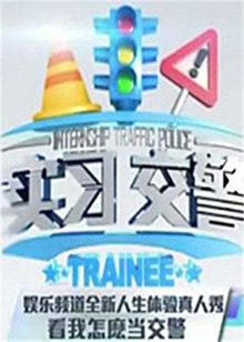 實習交警(2012)海報