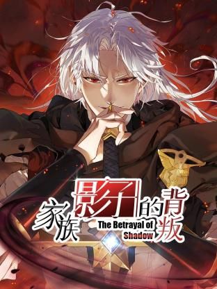 家族影子的背叛(2024)海报
