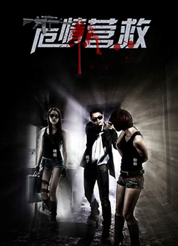 危情拯救(2009)海报