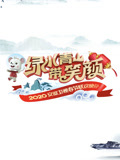 2020安徽卫视春晚(2020)海报