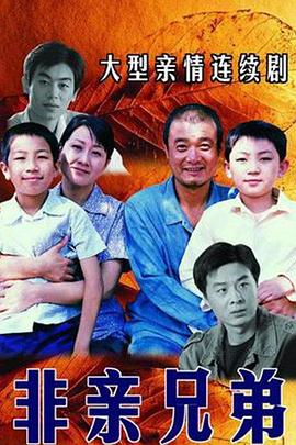 非亲兄弟(2005)海报