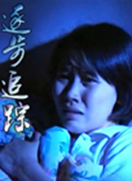 逐步追踪(1998)海报