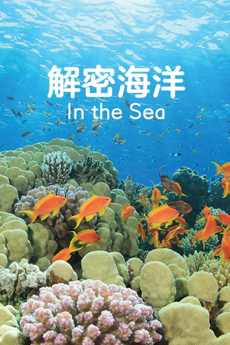 解密海洋(2024)海報