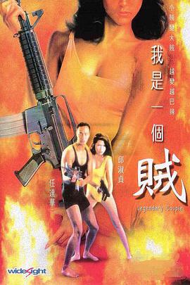 我是一个贼粤语(1995)海报