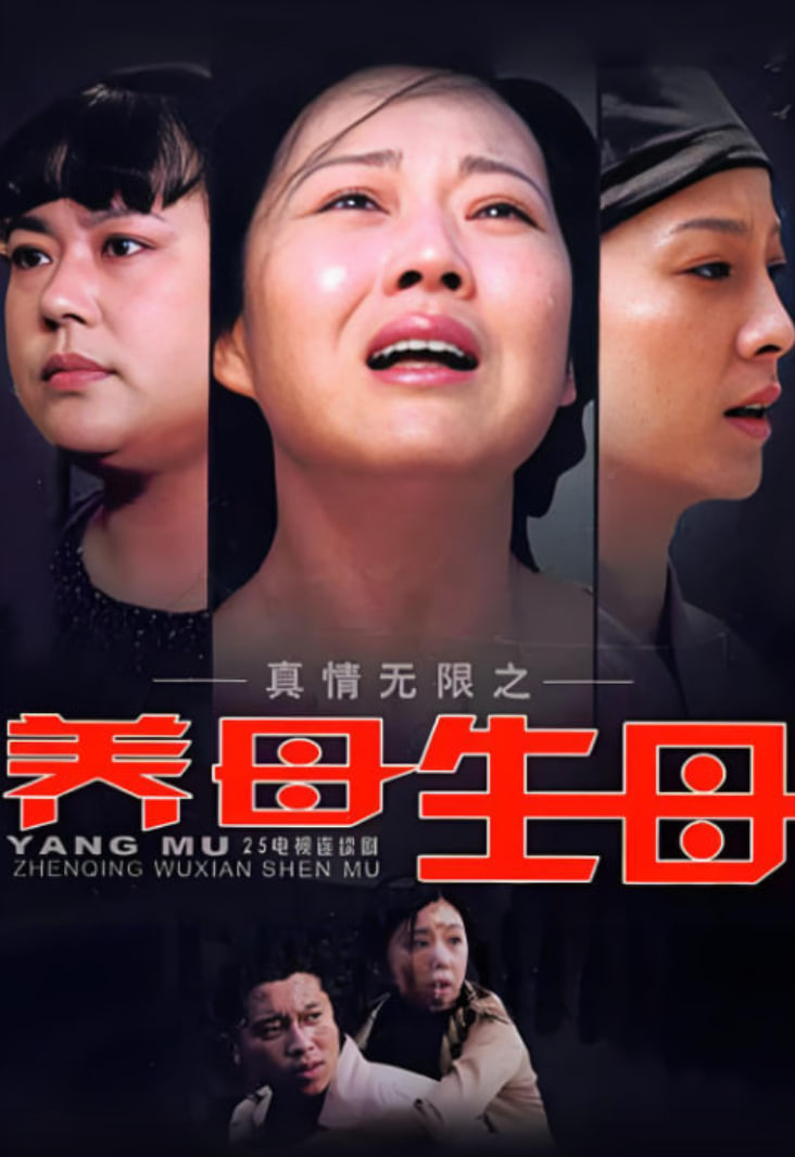 真情无限之养母生母(2009)海报