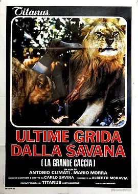 裸露殘酷寫真(1974)海報