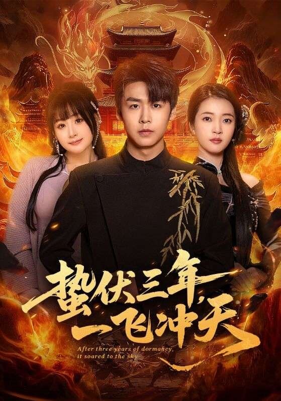 一飛沖天(2026)海報