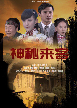 神秘来客2014(2014)海报