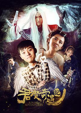 君賀奇遇記(2017)海報