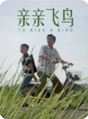 亲亲飞鸟(2015)海报
