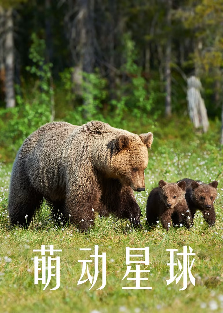 萌動星球(2025)海報