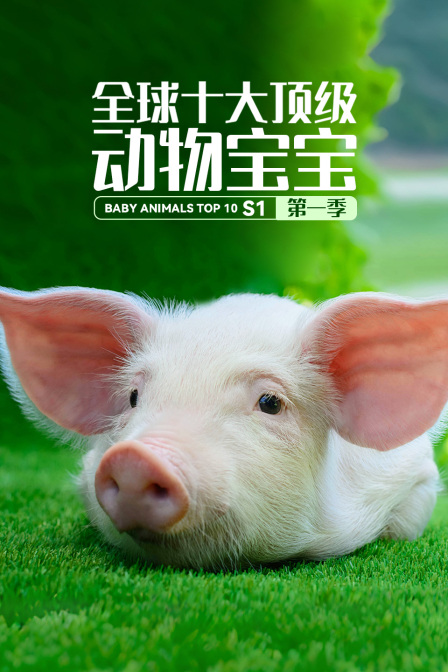 全球十大頂級動物寶寶第一季(2023)海報