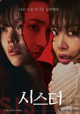 姐妹2026(2026)海报