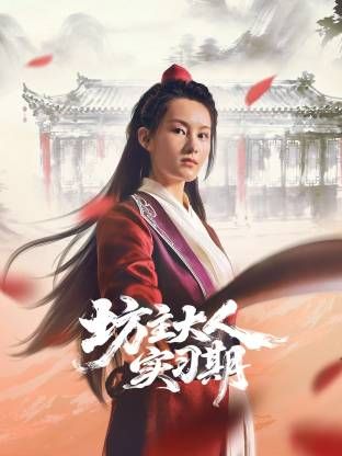 坊主大人实习期(2026)海报