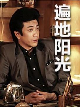 遍地陽光(2013)海報