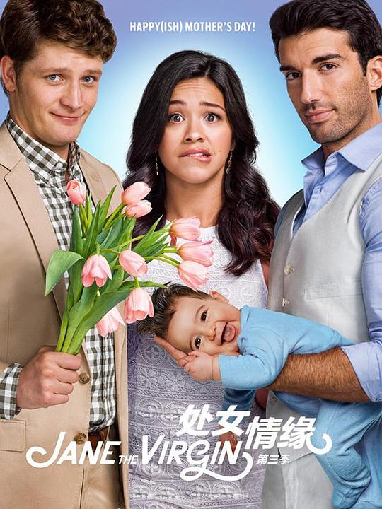 处女情缘 第三季(2014)海报