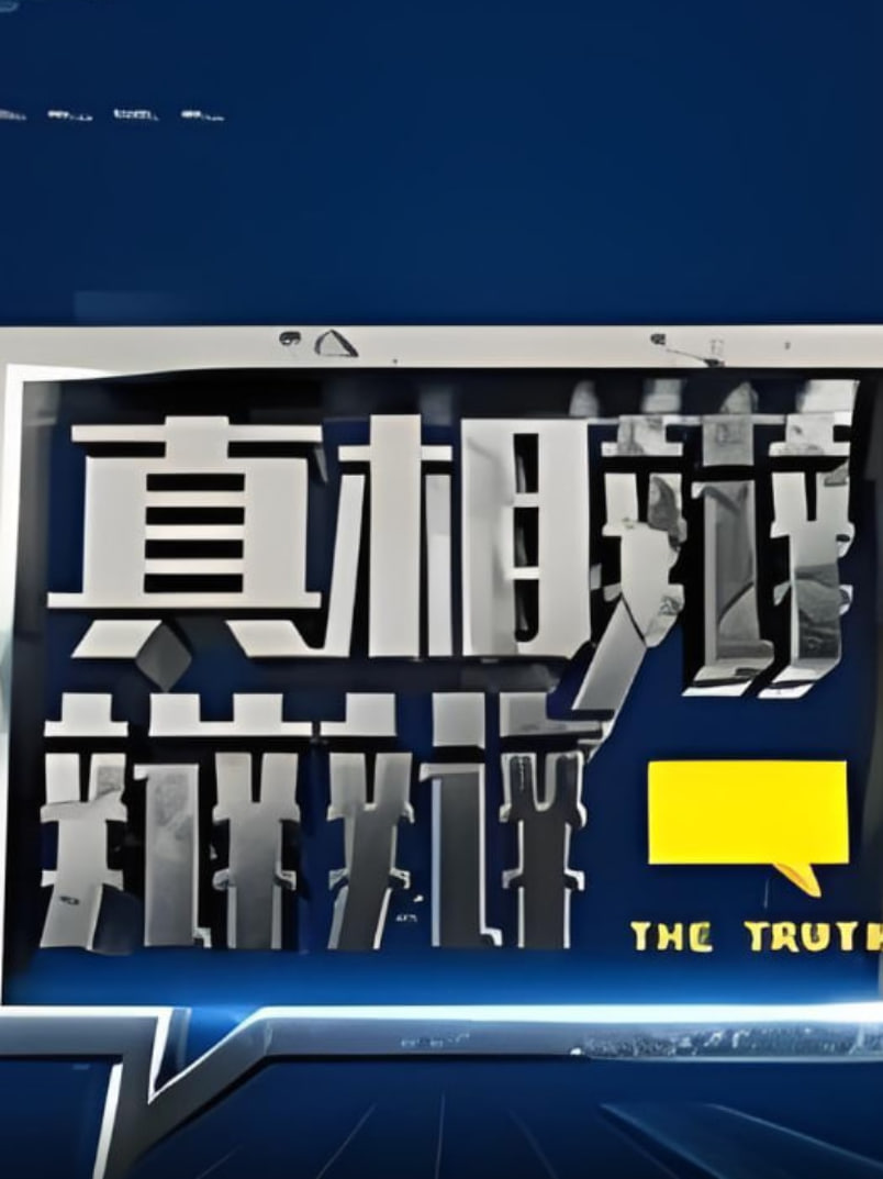 真相辩辩辩(2016)海报