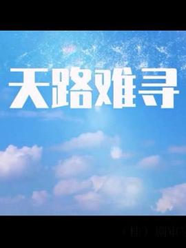 天路難尋(2017)海報