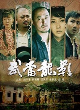 武當龍影(2008)海報