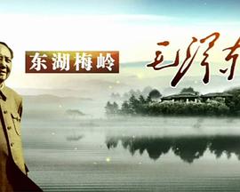 东湖梅岭毛泽东(2013)海报
