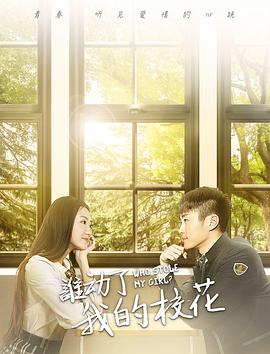 谁动了我的校花(2017)海报