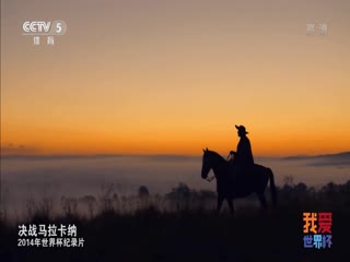 2014年世界盃官方紀錄片 hdtv(2023)海報