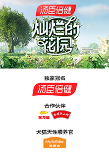 灿烂的花园 云监工(2024)海报