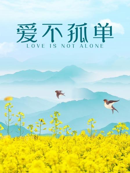 爱不孤单(2016)海报