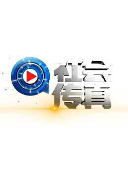 社会传真(2024)海报