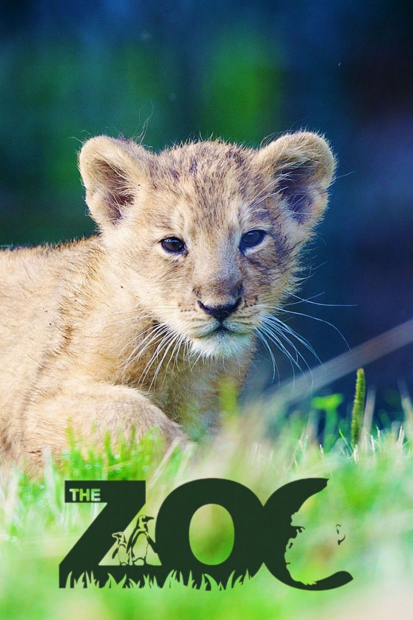 動物園 第六季(2016)海報