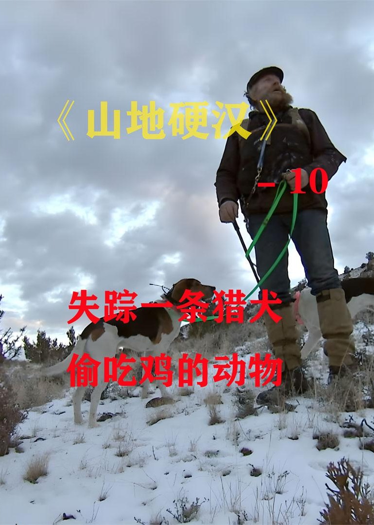 山地硬汉合集海报