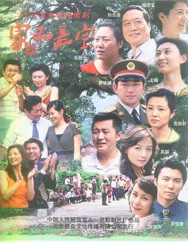 家和是宝(2008)海报