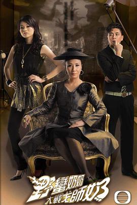 野蛮奶奶大战戈师奶国语(2008)海报