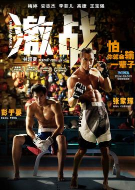 激戰(普通話版)(2013)海報