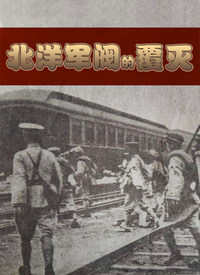北洋军阀的覆灭(2020)海报