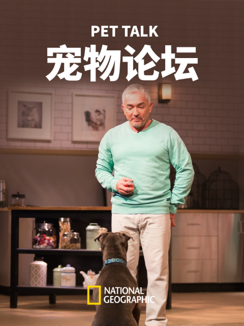 宠物论坛第一季(2016)海报