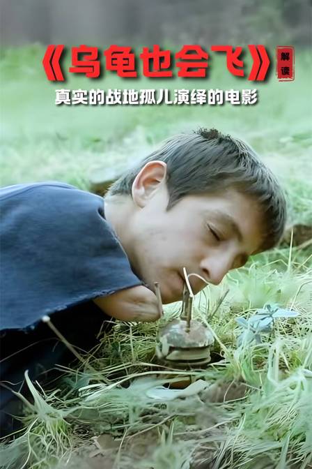 《乌龟也会飞》 解读 真实的战地孤儿演绎的电影(2024)海报