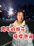 阿苗的小生活的2026年合集(2026)海報