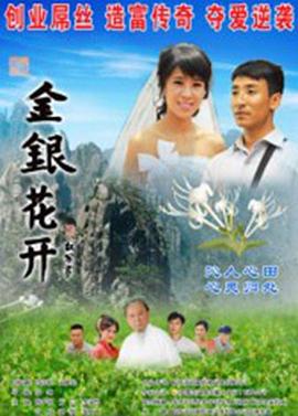 金银花开(2013)海报