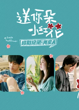 送你一朵小紅花 · 特別紀錄第二集海報