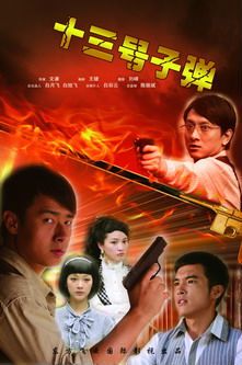 13号子弹(2010)海报
