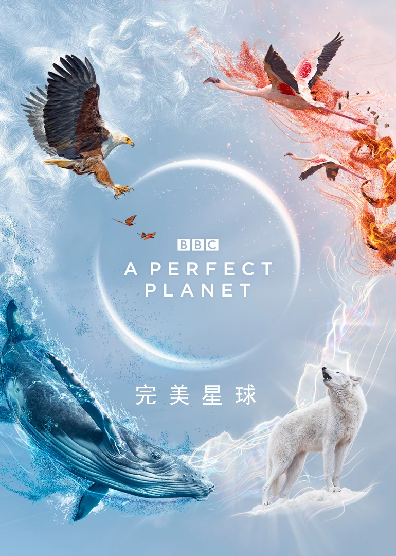 完美星球英語(2021)海報